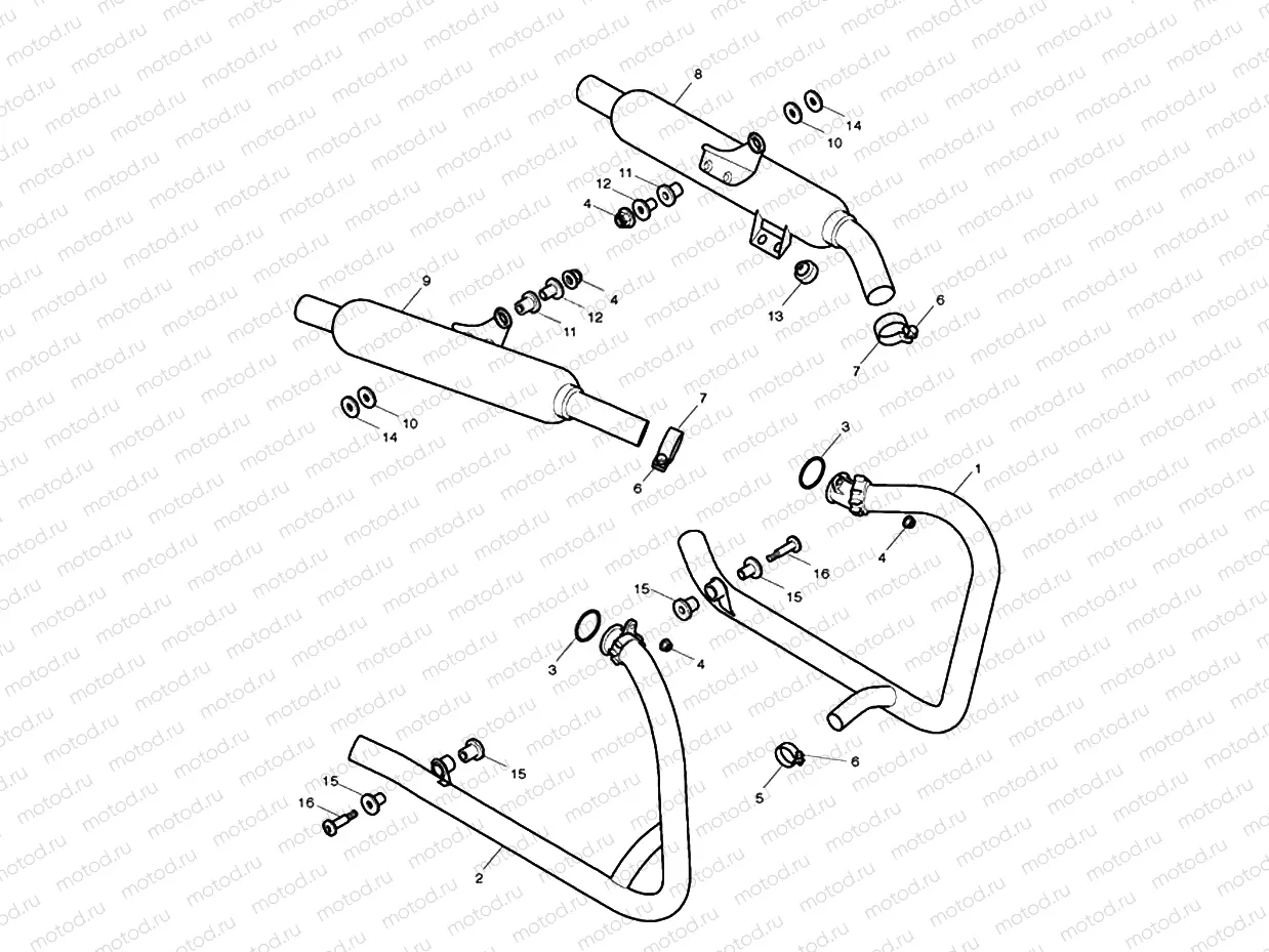 Exhaust System