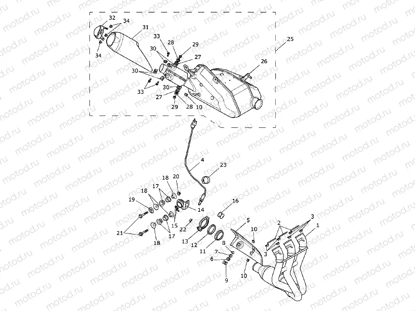 Exhaust System