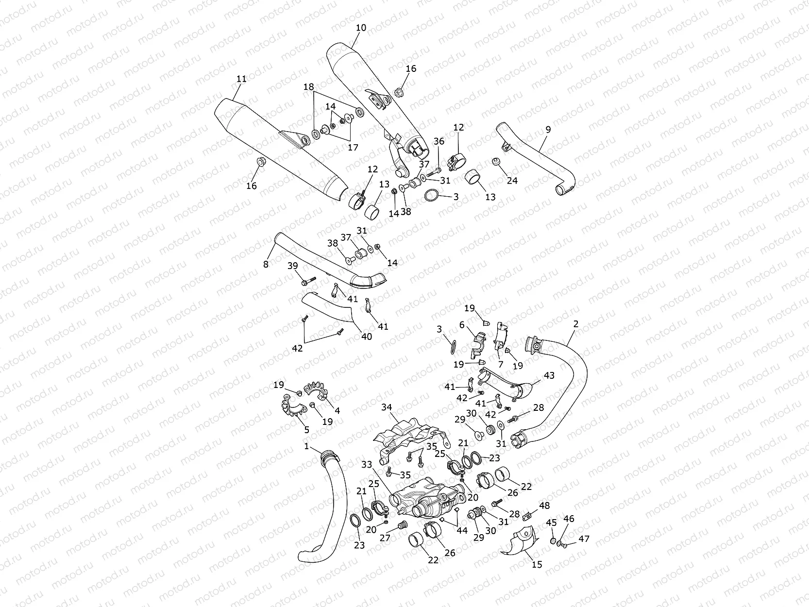Exhaust System