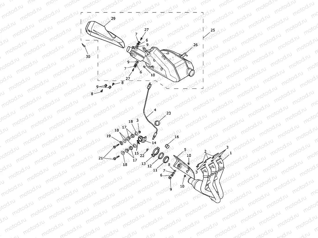 Exhaust System