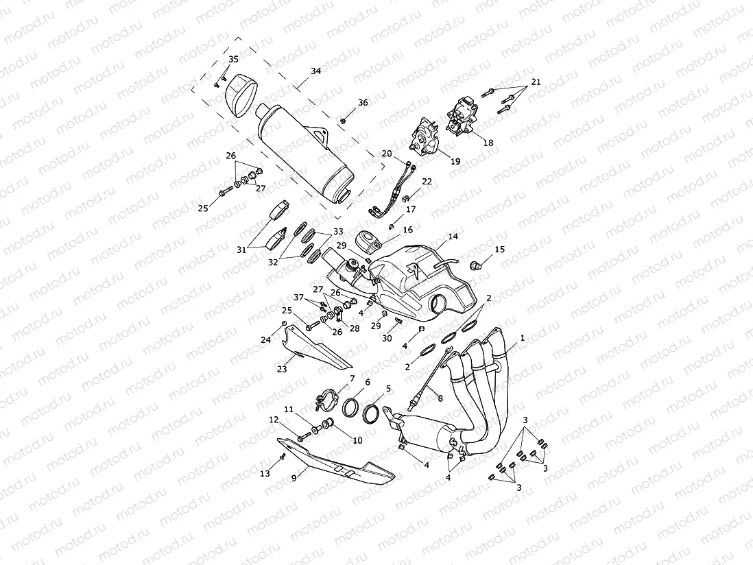 Exhaust System