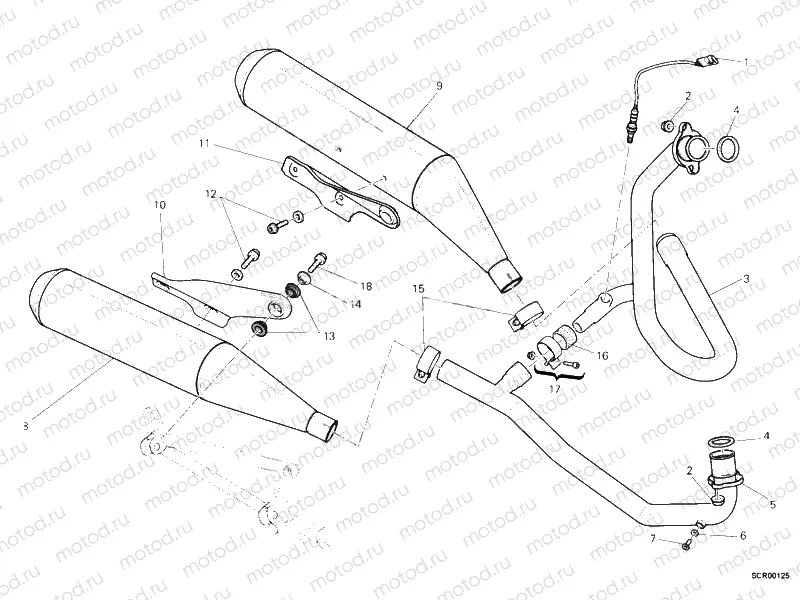 EXHAUST SYSTEM » EXHAUST SYSTEM