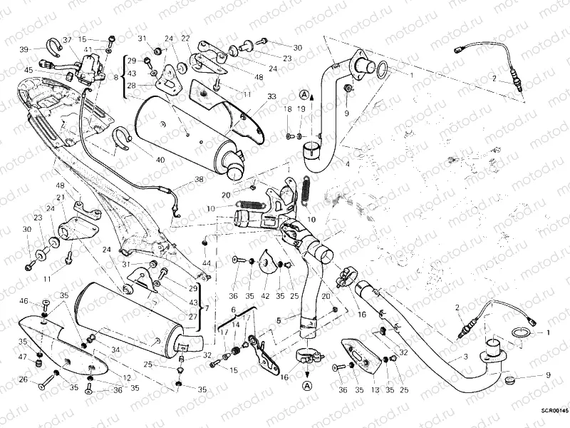 EXHAUST SYSTEM » EXHAUST SYSTEM