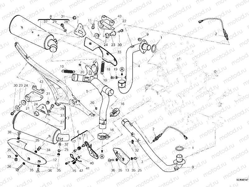 EXHAUST SYSTEM » EXHAUST SYSTEM