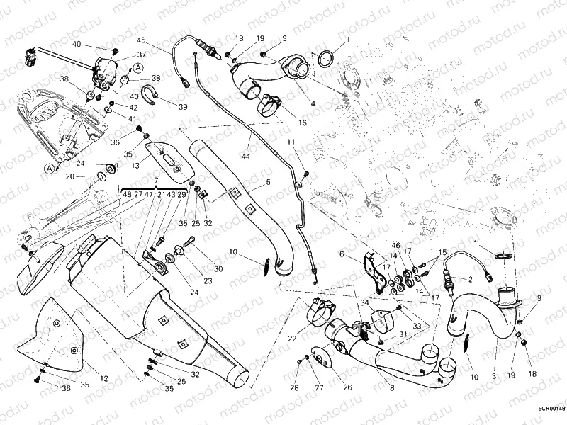 EXHAUST SYSTEM » EXHAUST SYSTEM