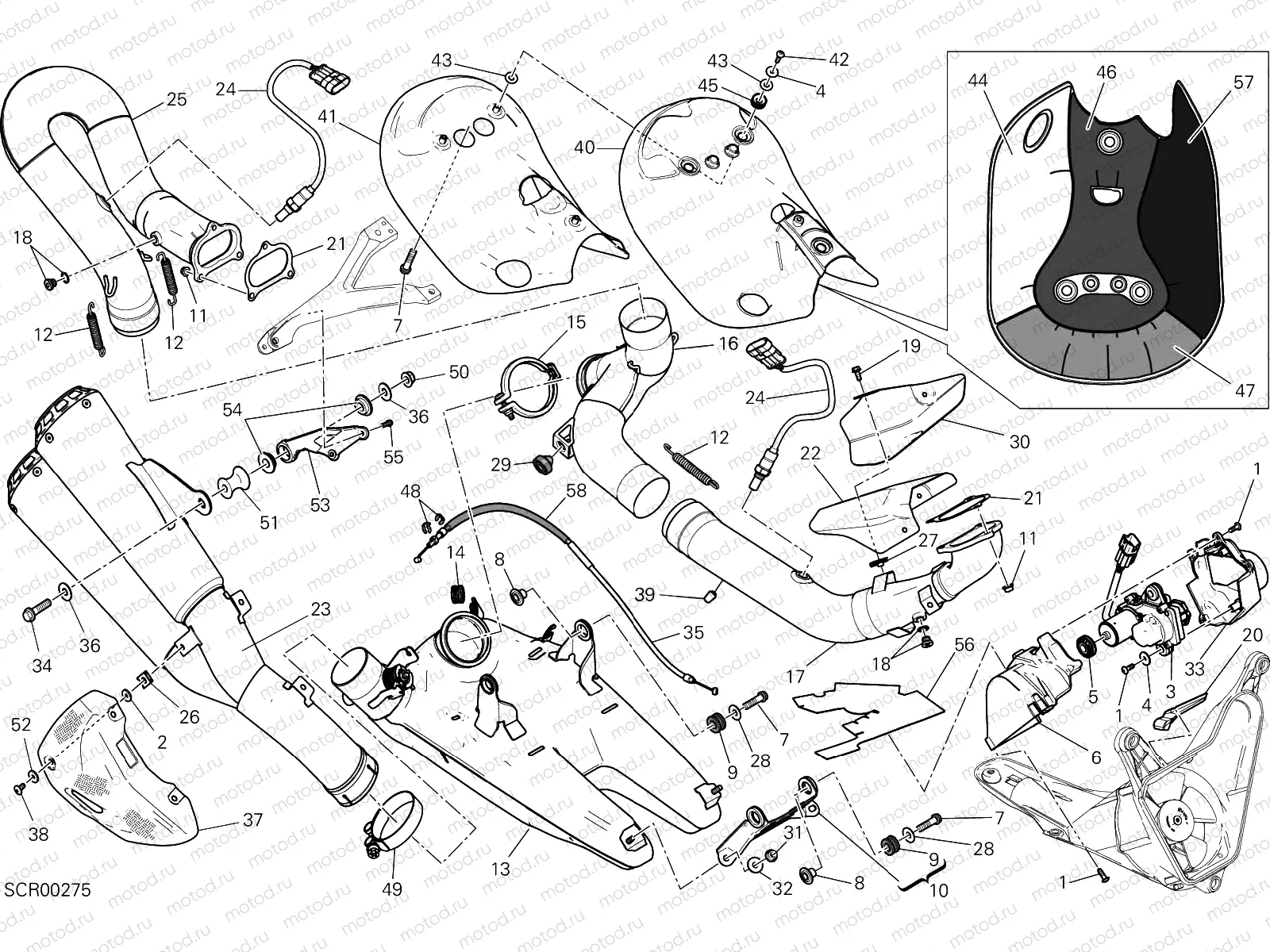 EXHAUST SYSTEM [MOD:959,959 AWS;XST:ROK]
