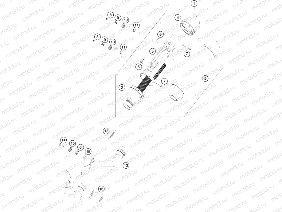 EXHAUST SYSTEM|Frame|05