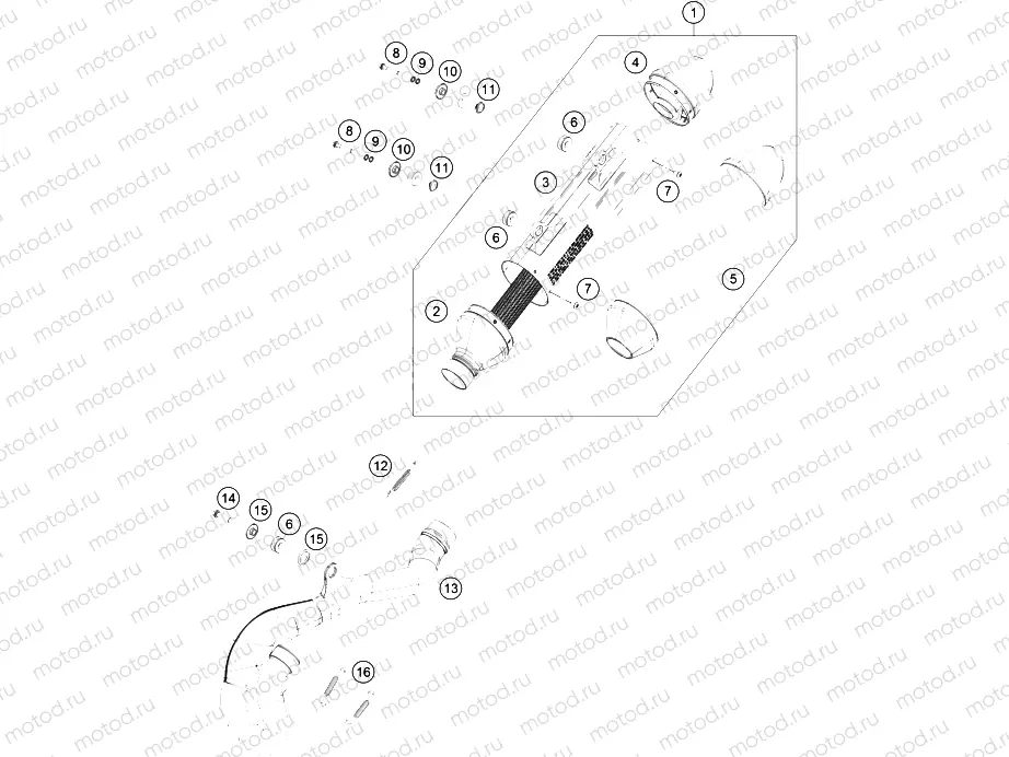 EXHAUST SYSTEM|Frame|05