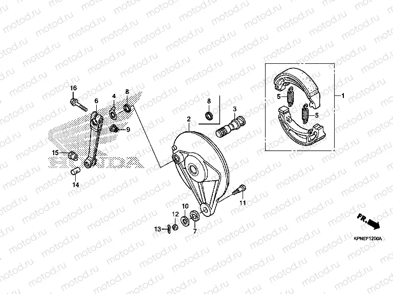F-12 REAR BRAKE PANEL