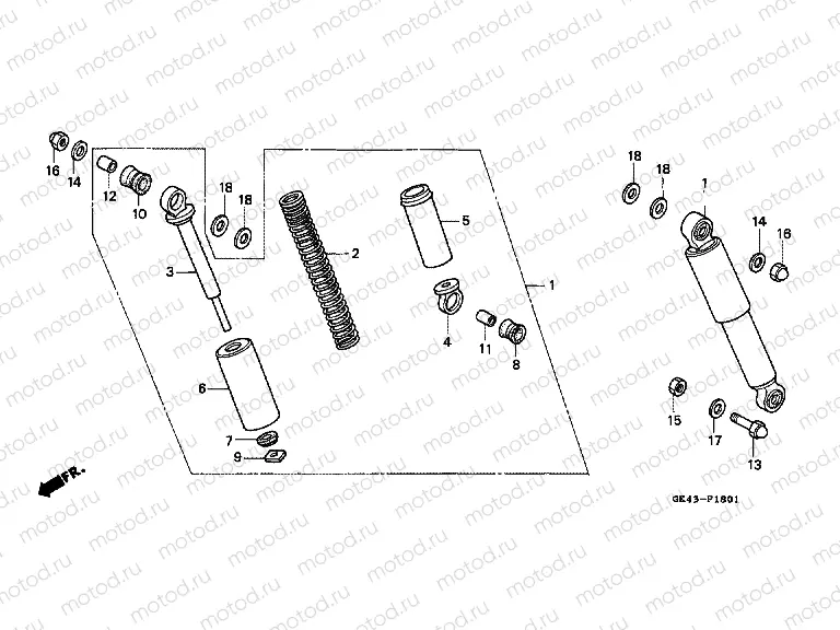 F-18-1 REAR SHOCK ABSORBER (C50J / N)