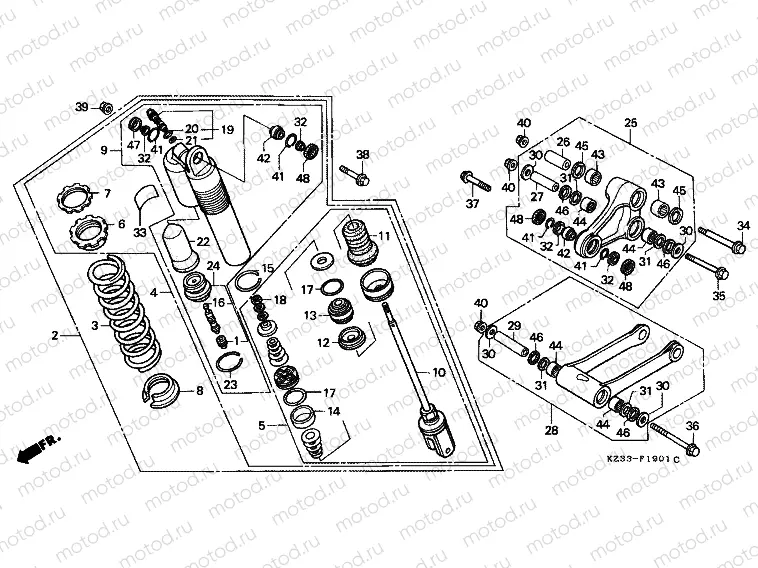 F-19-1 REAR SHOCK ABSORBER