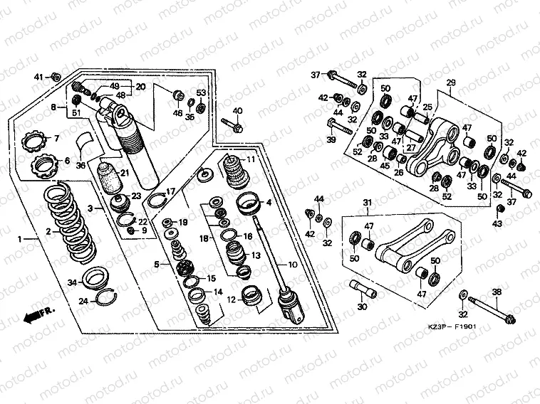F-19-1 REAR SHOCK ABSORBER (2)
