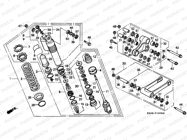 F-19-2 REAR SHOCK ABSORBER