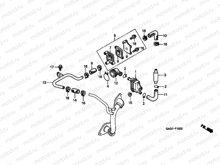 F-19 DISC SPRING VALVE (AI)