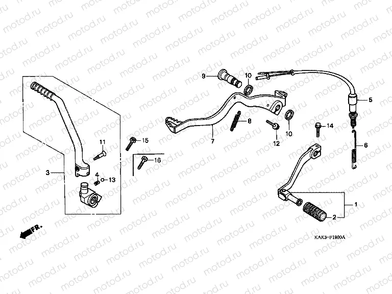 F-19 PEDAL