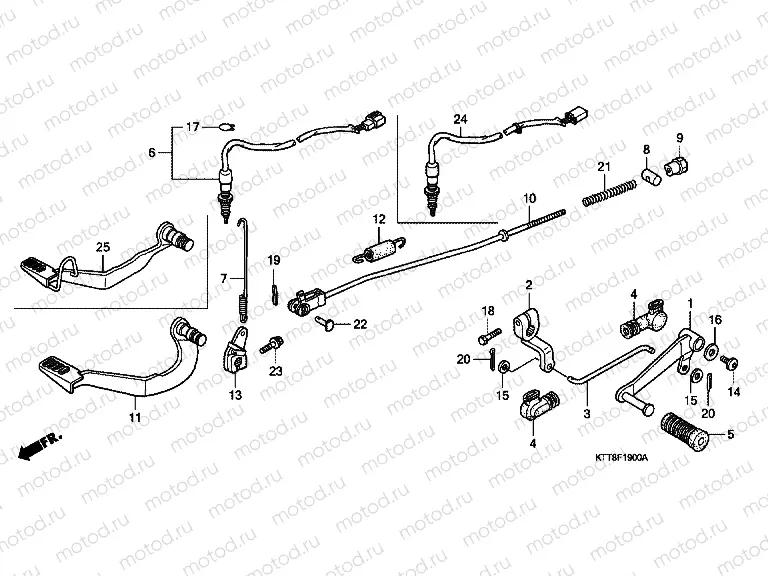 F-19 PEDAL