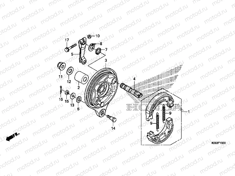 F-19 REAR BRAKE PANEL
