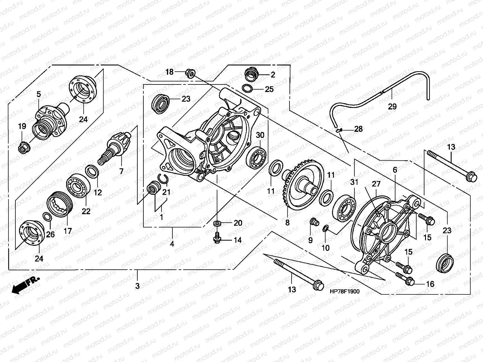 F-19 REAR FINAL GEAR