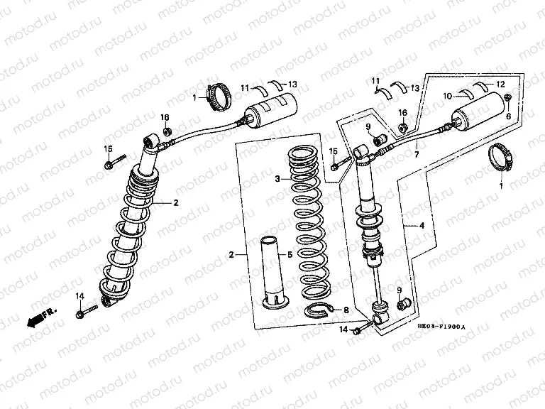 F-19 REAR SHOCK ABSORBER