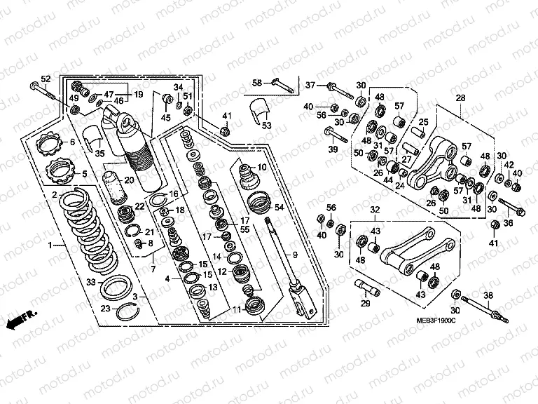 F-19 REAR SHOCK ABSORBER