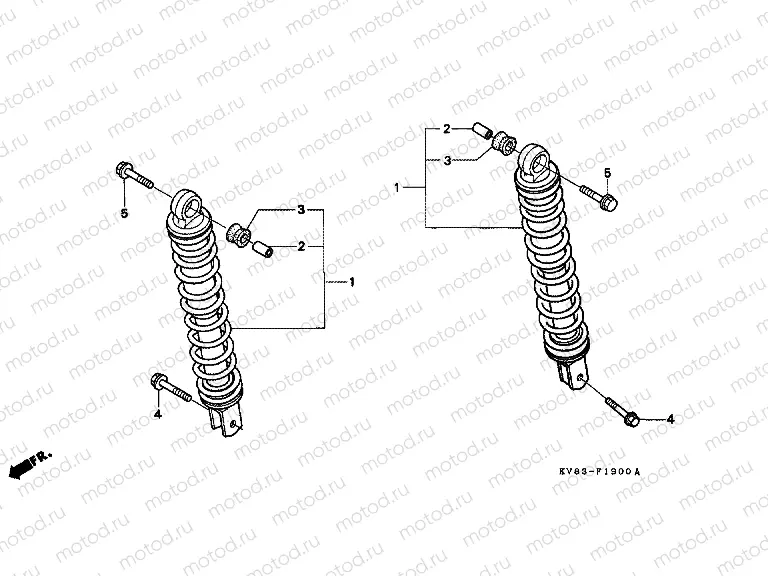 F-19 REAR SHOCK ABSORBER