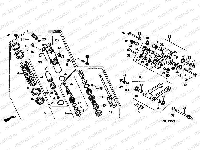 F-19 REAR SHOCK ABSORBER