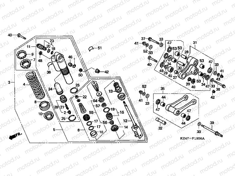 F-19 REAR SHOCK ABSORBER