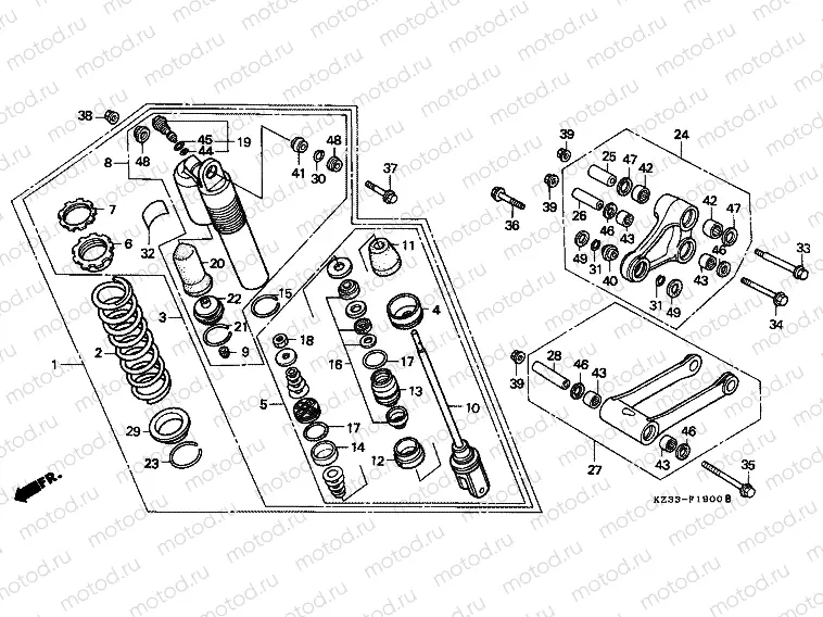 F-19 REAR SHOCK ABSORBER