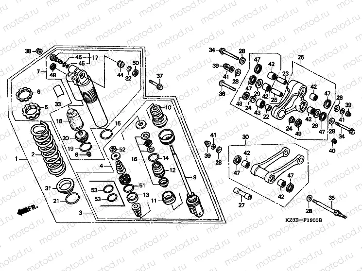 F-19 REAR SHOCK ABSORBER