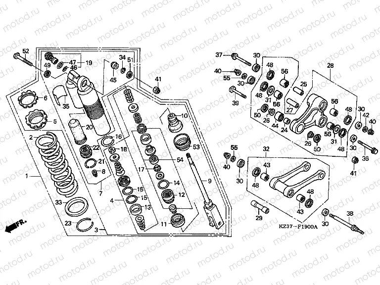 F-19 REAR SHOCK ABSORBER