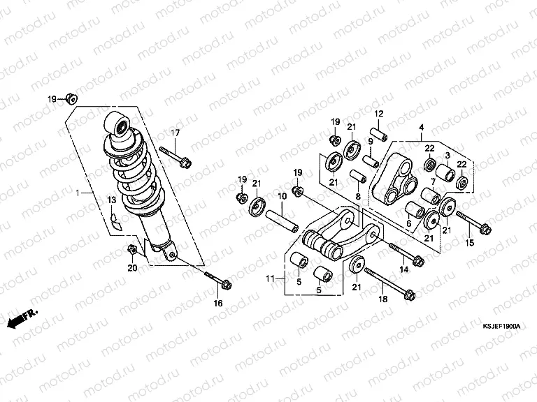 F-19 REAR SHOCK ABSORBER