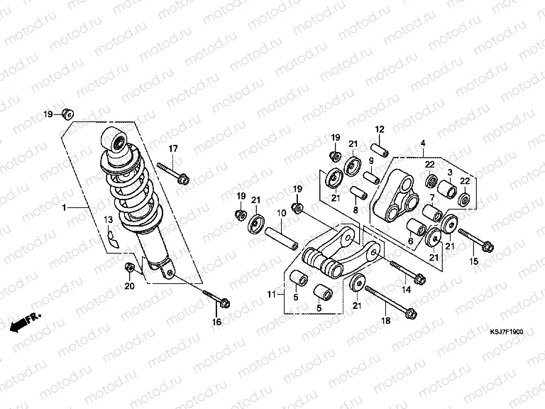 F-19 REAR SHOCK ABSORBER