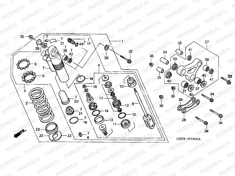 F-19 REAR SHOCK ABSORBER