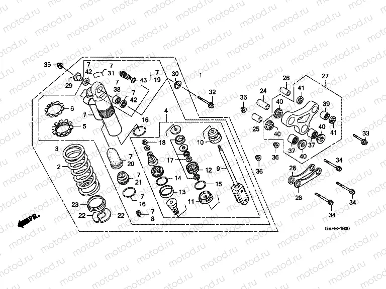 F-19 REAR SHOCK ABSORBER