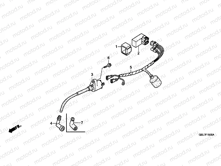 F-19 WIRE HARNESS
