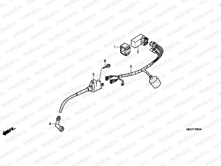 F-19 WIRING HARNESS
