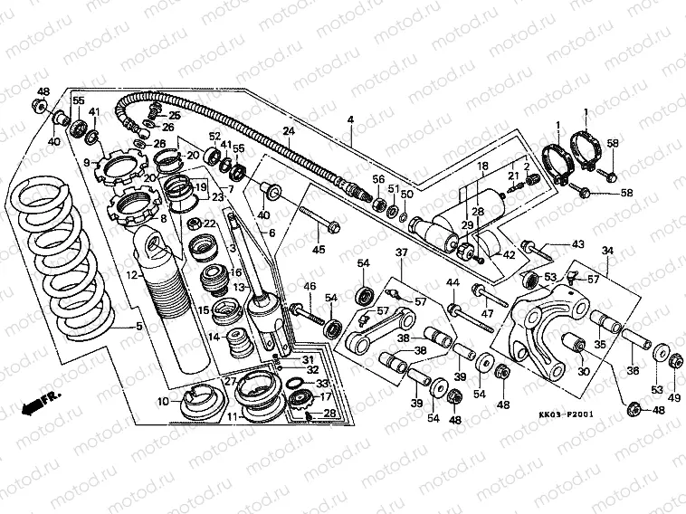 F-20-1 REAR SHOCK ABSORBER (2)