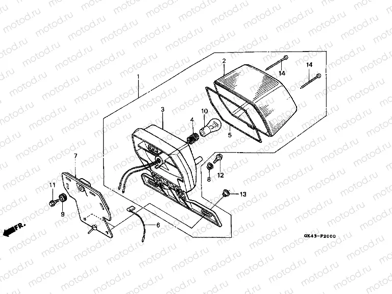 F-20 REAR LAMP (C50DF / G / DG / SN)