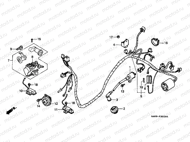 F-20 WIRING HARNESS / IGNITION COIL