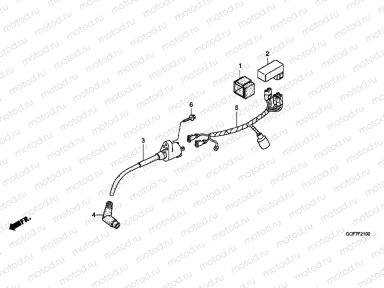 F-21 WIRING HARNESS / IGNITION COIL