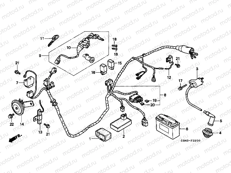 F-22 WIRING HARNESS / IGNITION COIL / BATTERY