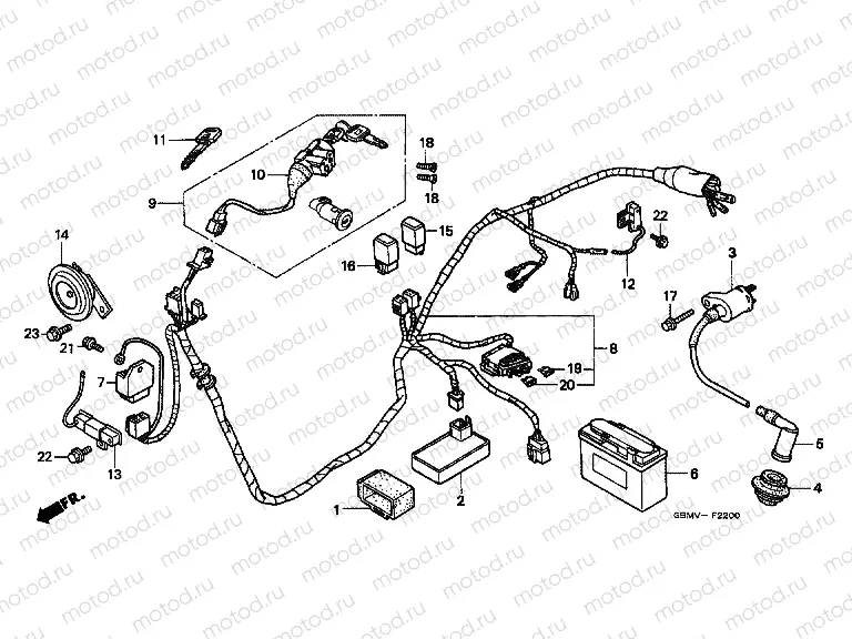 F-22 WIRING HARNESS / IGNITION COIL / BATTERY