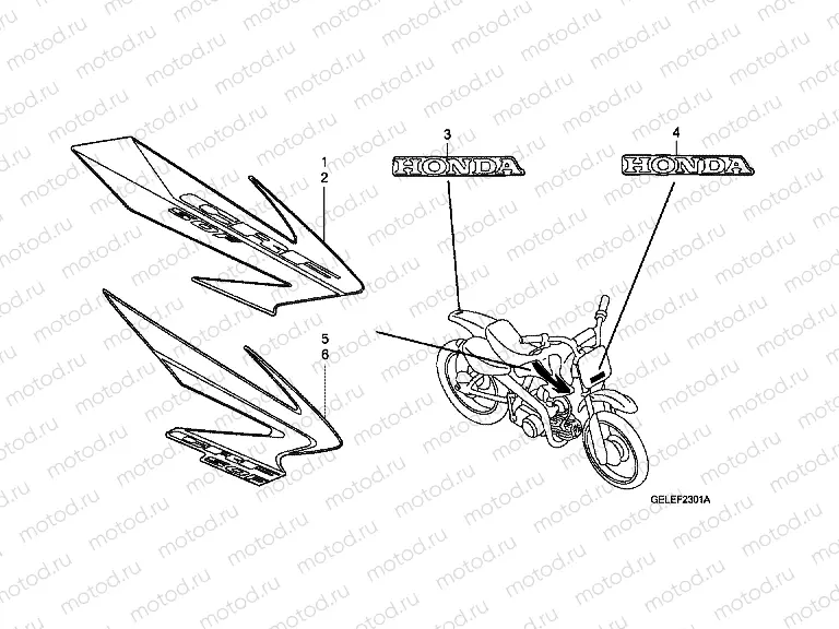 F-23-1 SIGN / STRIP (CRF50F6 / 7)