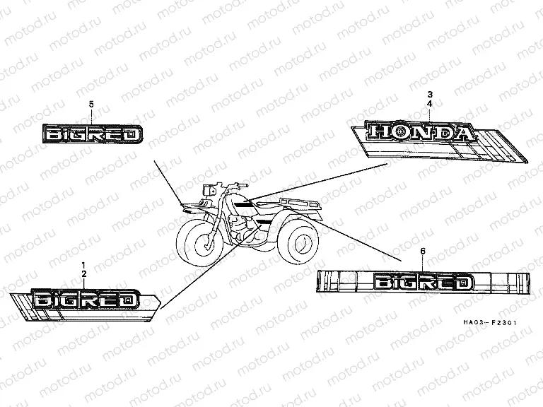 F-23-1 STRIP / LOGO (2)