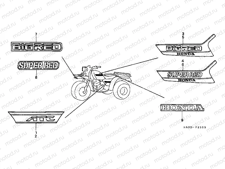 F-23-3 STRIP / LOGO (4)