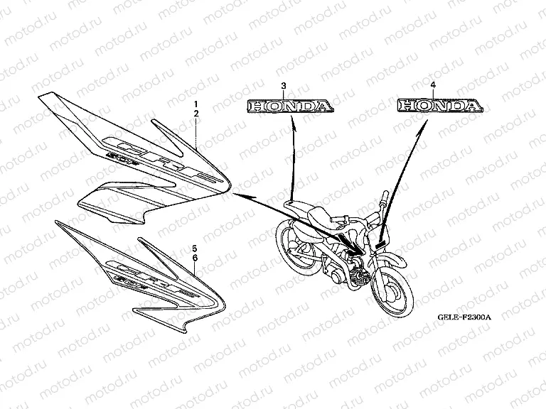F-23 SIGN / STRIP (CRF50F4 / 5)