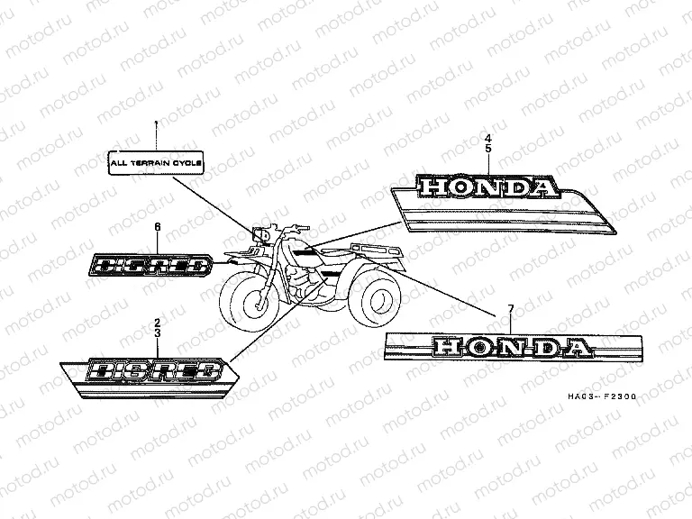 F-23 STRIP / LOGO (1)