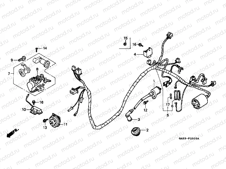 F-23 WIRING HARNESS / IGNITION COIL
