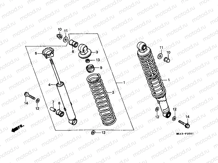 F-25-1 REAR SHOCK ABSORBER (2)