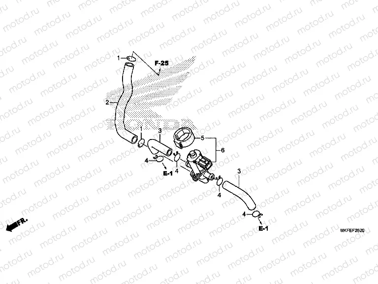 F-25-20 AIR INJECTION CONTROL VALVE